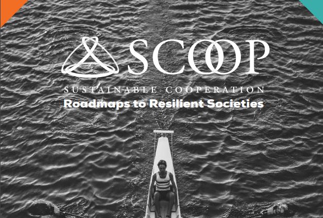 SCOOP Annual Report 2019