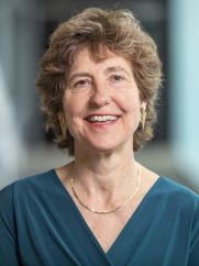 Prof. dr. ir. T. (Tanja) van der Lippe